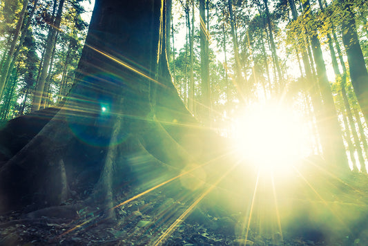 In the Beginning: The Sun Gods of Antiquity