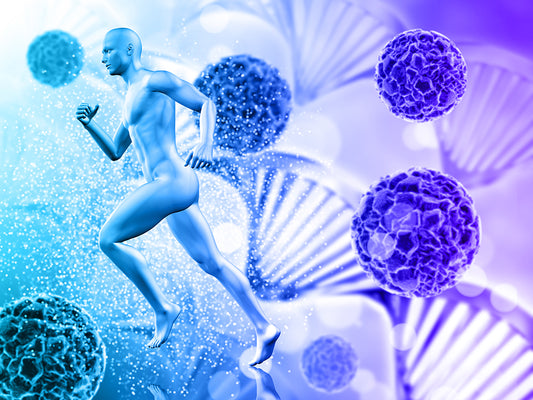 The Dual Role of Vitamin D: Enzymes and Epigenetics