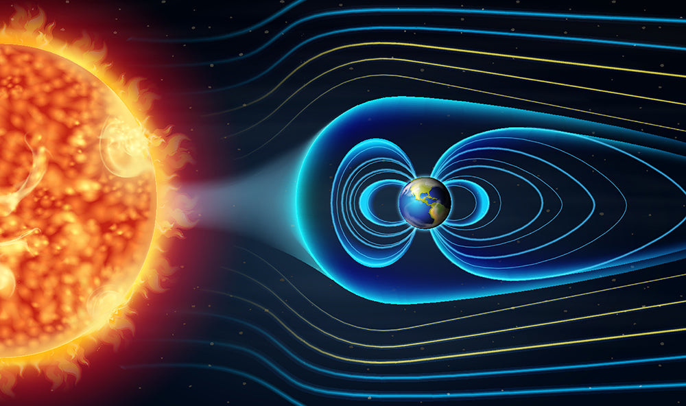 The Science of Sunlight and Vitamin D