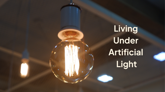 What 8 Hours of Artificial Light Does to Your Body Every Day