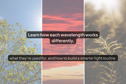 UVB Sun Lamp vs. Red Light: Which Light Therapy Do You Actually Need?