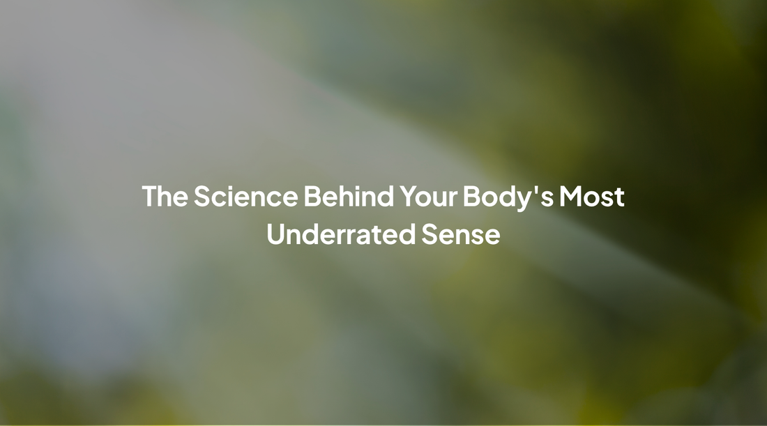 How Light Talks to Your Cells