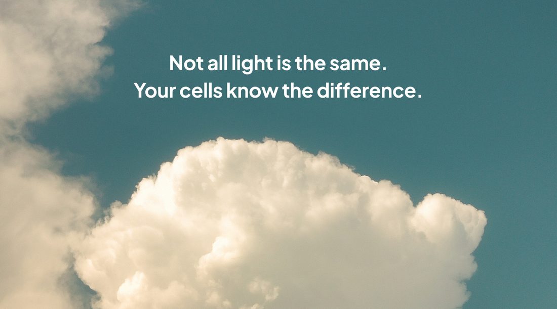 Not All Light Is the Same: What the Spectrum Actually Does to Your Body