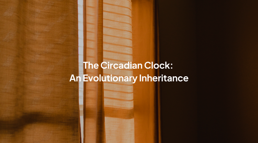 Circadian Rhythm, Light Exposure, and Why Artificial Lighting Disrupts Sleep
