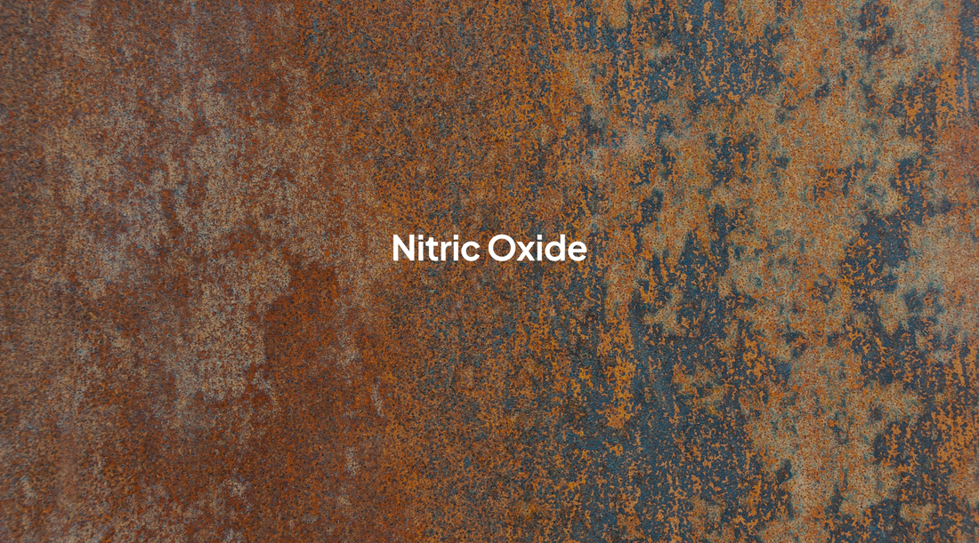 Nitric Oxide and Sunlight: The Vascular Signal Hidden in Your Skin